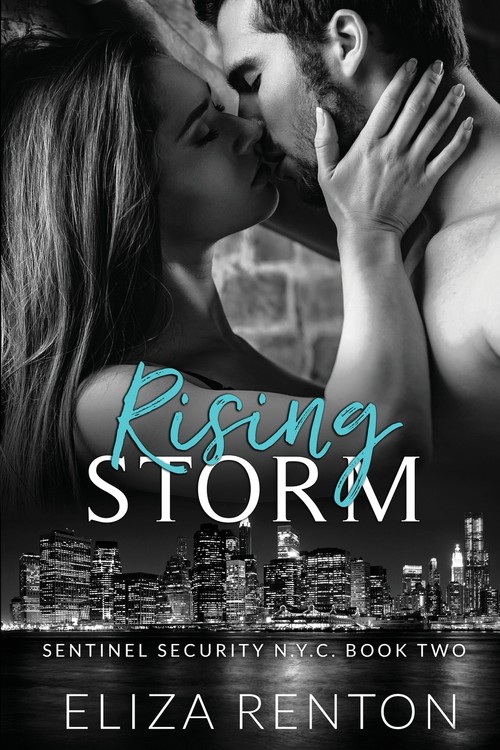 Rising Storm Sentinel Security N.Y.C. Book 2