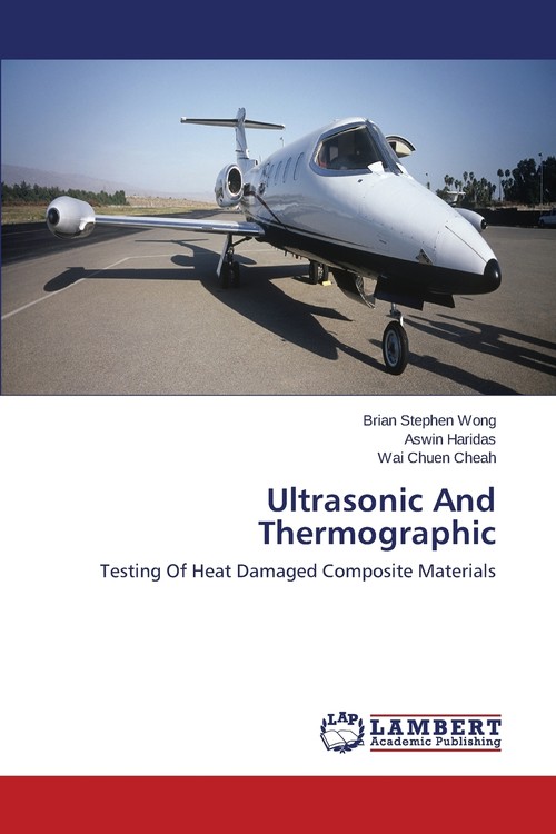 Ultrasonic And Thermographic