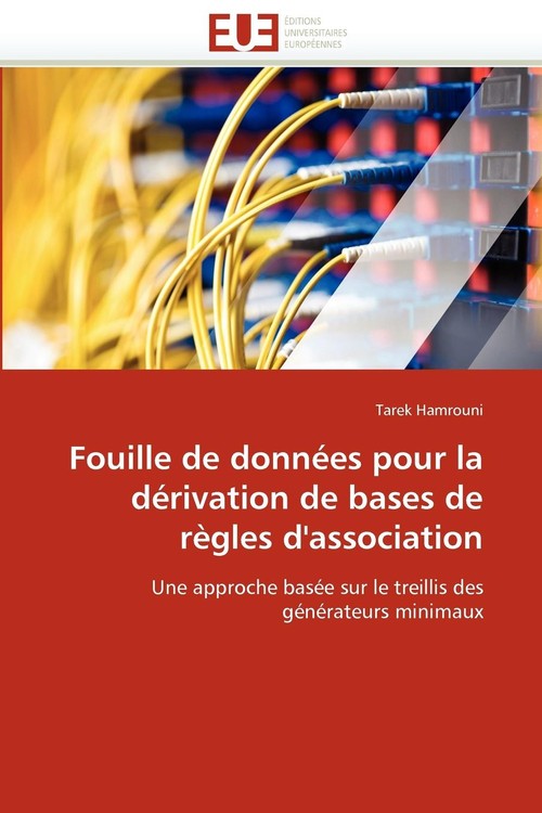 Fouille de données pour la dérivation de bases de règles d''association